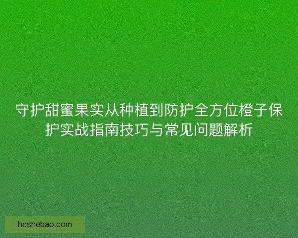 守护甜蜜果实从种植到防护全方位橙子保护实战指南技巧与常见问题解析