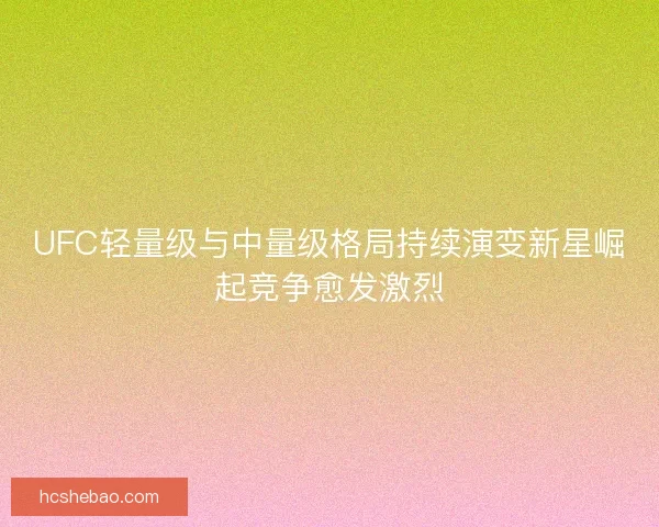 UFC轻量级与中量级格局持续演变新星崛起竞争愈发激烈