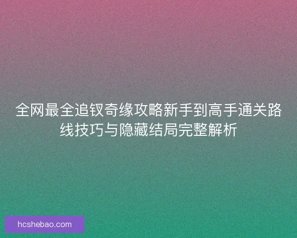 全网最全追钗奇缘攻略新手到高手通关路线技巧与隐藏结局完整解析